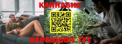 прущие грибы Гусиноозёрск