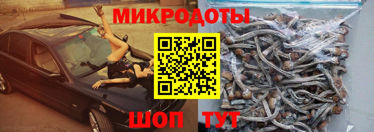 Псилоцибиновые грибы GOLDEN TEACHER Новокубанск