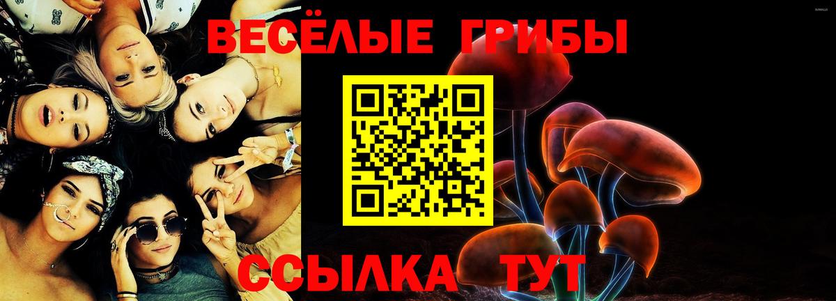 Галлюциногенные грибы Magic Shrooms  Вход с VPN  Новокубанск 